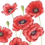 Ambiente Romantic Poppy papírszalvéta 33x33cm, 20db-os