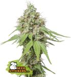 Seedstockers AK420 AUTO Kiszerelés: 3 db