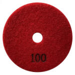 CRIANO Paduri / dischete diamantate pt. slefuire uscata #100 Ø100mm - DXDY. DRYPAD. 100.0100 (DXDY.DRYPAD.100.0100)