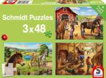 Schmidt Spiele Puzzle pentru copii Schmidt din 3 x 48 piese - Caii mei preferați (56519) Puzzle