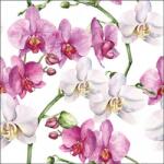 Ambiente Elegant orchids white papírszalvéta 33x33cm, 20db-os