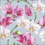 Ambiente Elegant orchids blue papírszalvéta 33x33cm, 20db-os