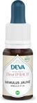 Deva При страх - Маймунско жълто цвете, капки по метода на Бах № 20, 15 ml (775868 (152195))
