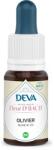 Deva Висок холестерол и енергия - Маслина, капки по метода на Бах, 15 ml (775899 (152198))