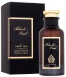 House of Perfumes Black Oud EDP 100 ml