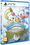 Clear River Games Snow Bros. Wonderland (PS5)