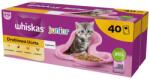 Whiskas Junior Drobiowa Uczta 40x85g nedves eledel csirkével, kacsával, baromfival és pulykával zselében cicáknak
