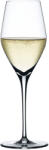 Spiegelau Pahar pentru șampanie AUTHENTIS, set de 4 buc, 270 ml, Spiegelau (SP4400185) Pahar