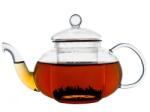 Bredemeijer Ceainic cu infuzor VERONA 500 ml, din sticlă, Bredemeijer (BRED1464)