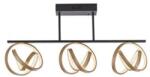Neuhaus Lighting Group Lustră LED aplicată JUST LIGHT. 6245-18 LOOP 3xLED/11W/230V 2700-5000K + telecomandă (W4615)