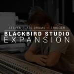 Slate Digital SSD Blackbird expansion (1178-1103)