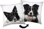  Kutyás Border Collie párna, díszpárna 40x40 cm (JFK039199) - oliviashop
