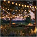 Garden of Eden Smart szolár fényfüzér 15 db fehér LED 7,5 m (11743)