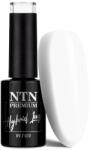 NTN Premium UV/LED 123# (HEMA Free)