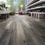 SWISS KRONO Parchet laminat stejar My Floor Cottage Wide 8 mm ton inchis MV821