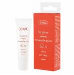 Ziaja ajakbalzsam 12ml : Változat - Mirabella szilva