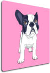 Impresi Tablou Frenchie pink background - 40 x 40 cm