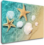 Impresi Tablou Shells by the sea - 90 x 60 cm
