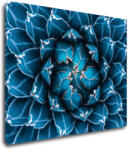 Impresi Tablou Blue blossom - 90 x 70 cm