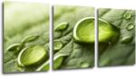 Impresi Tablou Drops of water on the leaf - 150 x 70 cm (3-piese)