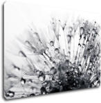 Impresi Tablou Flower with little drops of water - 90 x 60 cm