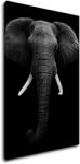 Impresi Tablou Elephant dark - 60 x 90 cm