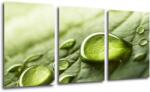 Impresi Tablou Drops of water on the leaf - 120 x 60 cm (3-piese)