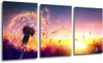 Impresi Tablou Dandelion and sunset - 120 x 60 cm (3-piese)