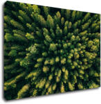 Impresi Tablou Forest - 90 x 60 cm