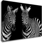 Impresi Tablou Duo zebras black and white - 60 x 40 cm