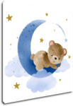 Impresi Obraz Bear on blue moon - 20 x 20 cm Decoratiune camera copii