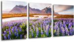 Impresi Tablou Lila blossoming flowers - 150 x 70 cm (3-piese)