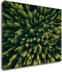 Impresi Tablou Forest - 90 x 70 cm