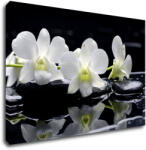 Impresi Tablou White orchids black background - 60 x 40 cm