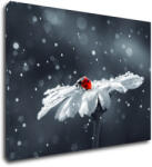 Impresi Tablou Lady bug on the flower - 70 x 50 cm