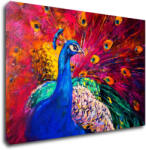 Impresi Tablou Colorful Peacock - 60 x 40 cm