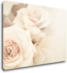 Impresi Tablou White roses - 70 x 50 cm