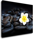 Impresi Tablou White blossom on black stones - 90 x 70 cm