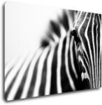 Impresi Tablou Zebra detail - 90 x 60 cm