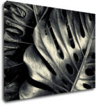 Impresi Tablou Black and white leafs - 70 x 50 cm