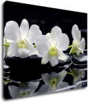 Impresi Tablou White orchids black background - 90 x 70 cm