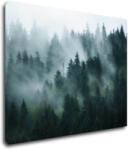 Impresi Tablou Fogy forest - 90 x 70 cm