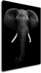 Impresi Tablou Elephant dark - 70 x 90 cm