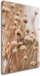 Impresi Tablou Scandinavian style dry grass - 50 x 70 cm