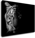 Impresi Tablou Tiger black and white - 70 x 50 cm