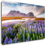 Impresi Tablou Lila blossoming flowers - 60 x 40 cm