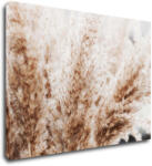Impresi Tablou Dry flowers detail - 70 x 50 cm
