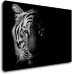 Impresi Tablou Tiger black and white - 90 x 60 cm