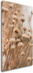 Impresi Tablou Scandinavian style dry grass - 30 x 50 cm