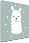 Impresi Tablou Cute lama ilustration - 50 x 50 cm